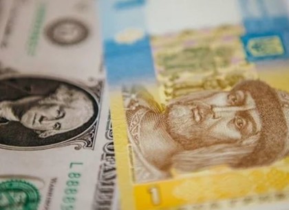 Доллар и НБУ отдыхают после нескольких дней мощных спекуляций