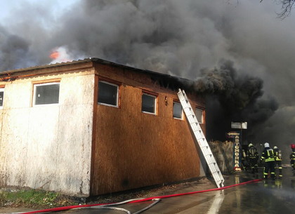 Масштабный пожар на СТО: спасатели, рискуя жизнью, выталкивали автомобили (ФОТО)