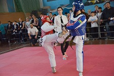 В Харькове состоялся Всеукраинский турнир по олимпийскому тхэквондо