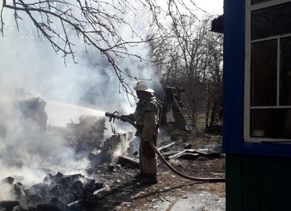 Пожарные спасли старушку, сжигавшую мусор (ФОТО)
