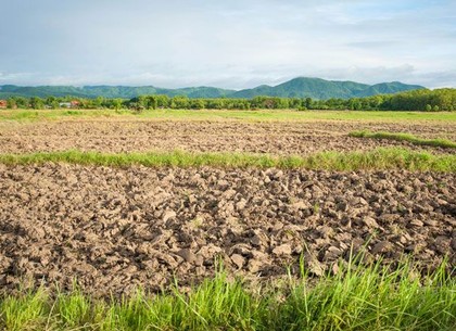 Хитрый фермер лишился земель стоимостью почти 50 миллионов гривен