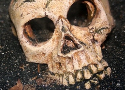 В заброшенном доме найден человеческий череп: подробности от полиции