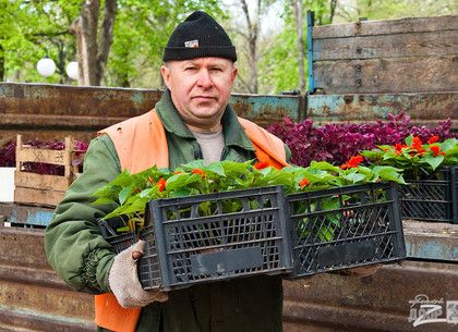 Городские парки Харькова ищут сотрудников