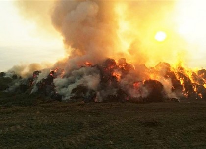 От удара молнии под Харьковом загорелось 25 тонн соломы