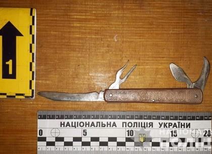 Ножом в грудь: мужчина посчитал, что ему надо убить соседа (ФОТО)