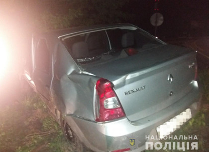 От удара в дерево насмерть разбился водитель Renault (ФОТО)