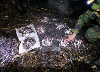 Под Харьковом задержан рыбак, нарушивший нерестовый запрет