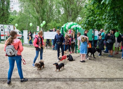 Собачий рай: открыта площадка для дрессировки собак