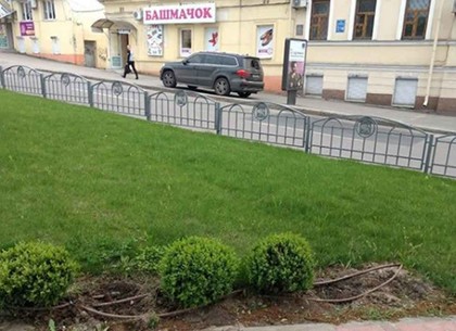 Вандалы изуродовали клумбу в центре Харькова