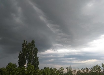 Прогноз погоды и магнитных бурь в Харькове на четверг, 23 мая