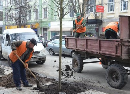В Харькове высадили 23 тысячи деревьев