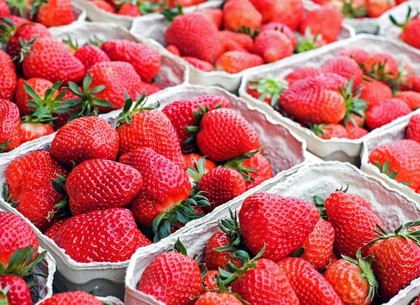 Эксперты проверили овощи и ягоды в популярных супермаркетах Харькова
