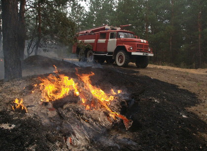 В аномальную жару спасатели более 20 раз тушили возгорание стихийных свалок сухостоя и лесной подстилки