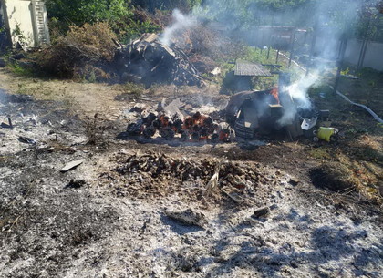 Спасатели ликвидировали 20 пожаров сухостоя и мусора (ФОТО)