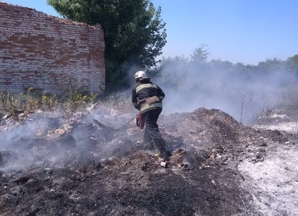 Поджигатели травы добавили работы спасателям (ФОТО)