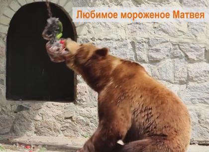 Необычное мороженое приготовили в Харьковском зоопарке (ВИДЕО)