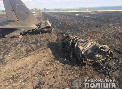Упал и загорелся самолет: полиция начинает расследование (ФОТО, Обновлено)