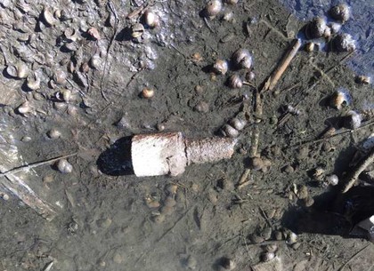 Под мостом возле Зірки нашли боевую гранату (ФОТО)