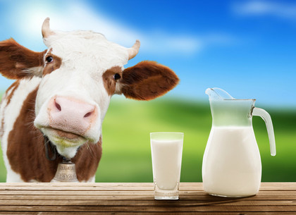 Молоко в Украине будет производиться по новым требованиям