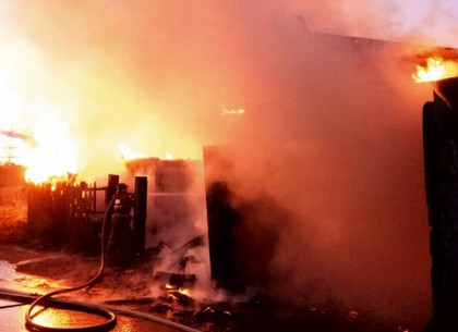 Накануне доклада Президенту Украины в Харькове сгорел джип борца с незаконными вырубками вековых дубов (ВИДЕО)