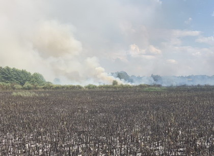 Пожар на Северной Салтовке потушен: ГСЧС (ФОТО)