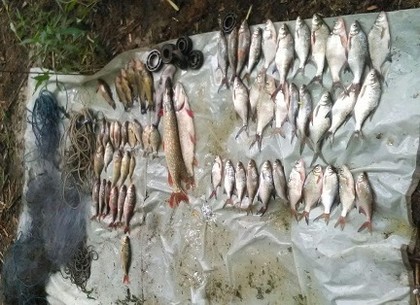 Выловленная рыба оказалась дорогой для пойманного браконьера (ФОТО)