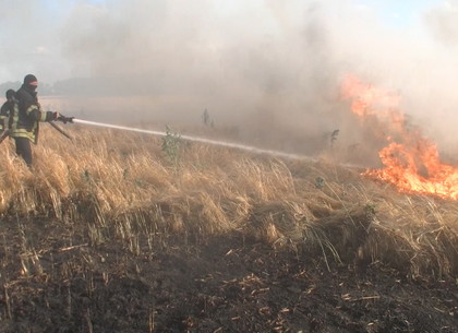 Пожары уничтожают урожай под Харьковом