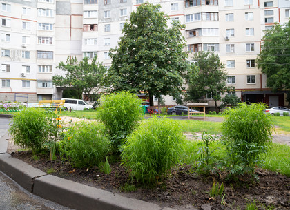 В Киевском районе создают тематические придомовые территории (ФОТО)