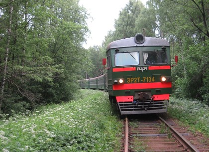На Харьковщине поезд смертельно травмировал подростка