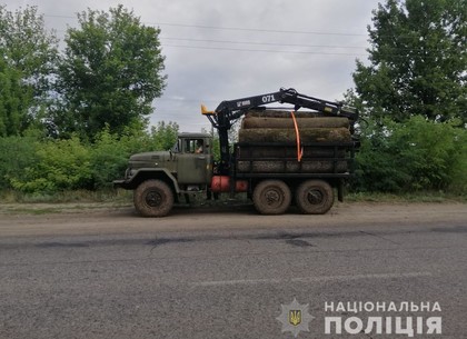 Под Харьковом задерживают машины с незаконно срубленным лесом (ФОТО)