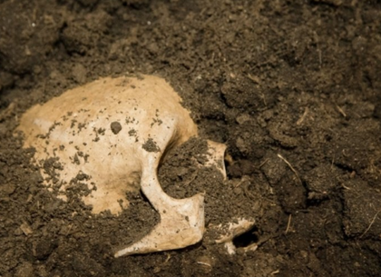 Человеческий скелет нашли в мусоре под Харьковом
