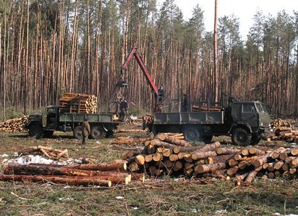 В Харькове освобождают лесничего после приезда Зеленского
