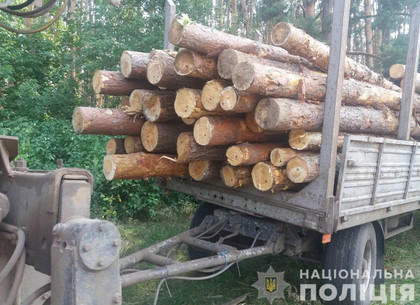В Богодуховском районе полицейские задержали двух мужчин за незаконную вырубку леса.