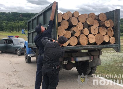 Копы поймали черного лесоруба и грузовик с незаконно добытой древесиной (ФОТО)