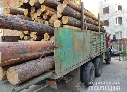 На Салтовке копы перехватили грузовик с незаконно добытой древесиной (ФОТО)