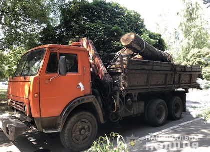 Добыча черных лесорубов: еще один грузовик не ушел от копов