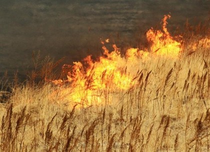 Самый высокий уровень пожарной опасности объявили по Харьковской области