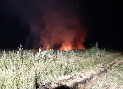 Крупный пожар под Харьковом потушили за полночь (ФОТО)