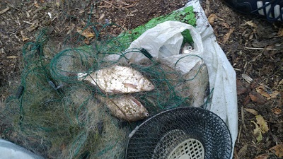 Рыбак-браконьер нанес 2 тысячи гривен убытков