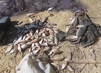 Запрещенная рыбалка обойдется нарушителю в 75 тысяч гривен (ФОТО)
