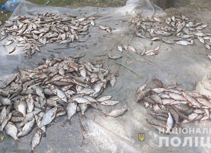 На пойманного рыбака-браконьера завели уголовное дело (ФОТО)