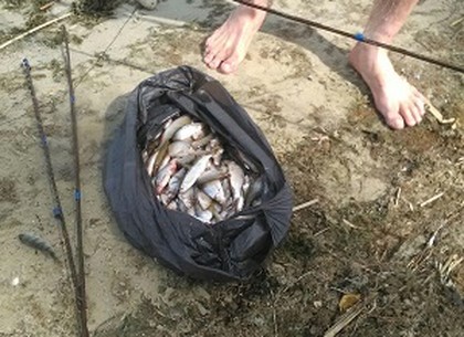 Рыбак с экранами нанес больше 12 тысяч убытков (ФОТО)