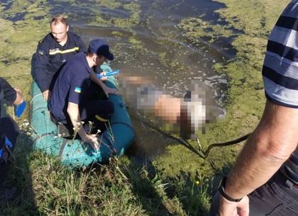 Смерть в озере: мужчина пошел купаться и утонул