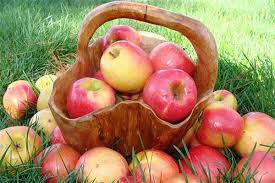 Традиционный яблочный пленэр AppleіnAir пройдет в Сковородиновке