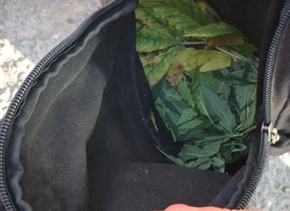 Несовершеннолетнего с рюкзаком «травы» задержали на автовокзале