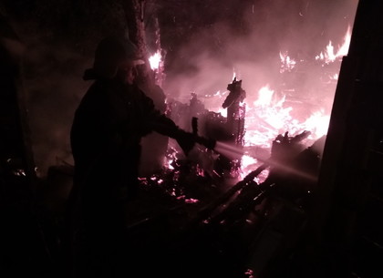 Пожарные потушили деревянную хозяйственную постройку и спасли соседский дом (ФОТО)