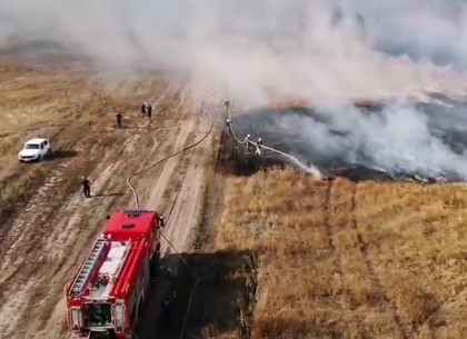 Пожар торфяников возле военного полигона тушат четвертый день