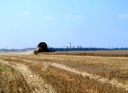 Харьковские фермеры могут собирать на 40-50% больше урожая