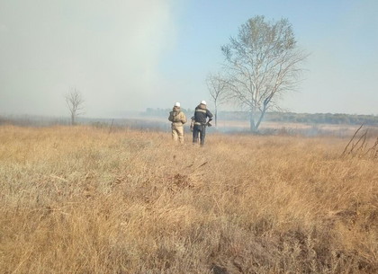 Пожар торфяников возле военного полигона: площадь горения уменьшилась на треть