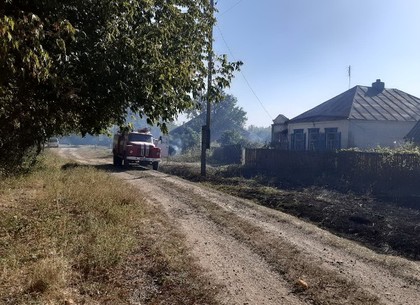 Лесной пожар под Харьковом сжег деревенские дома (ФОТО)